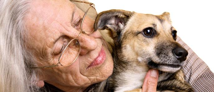A family sharing a loving moment with their dog