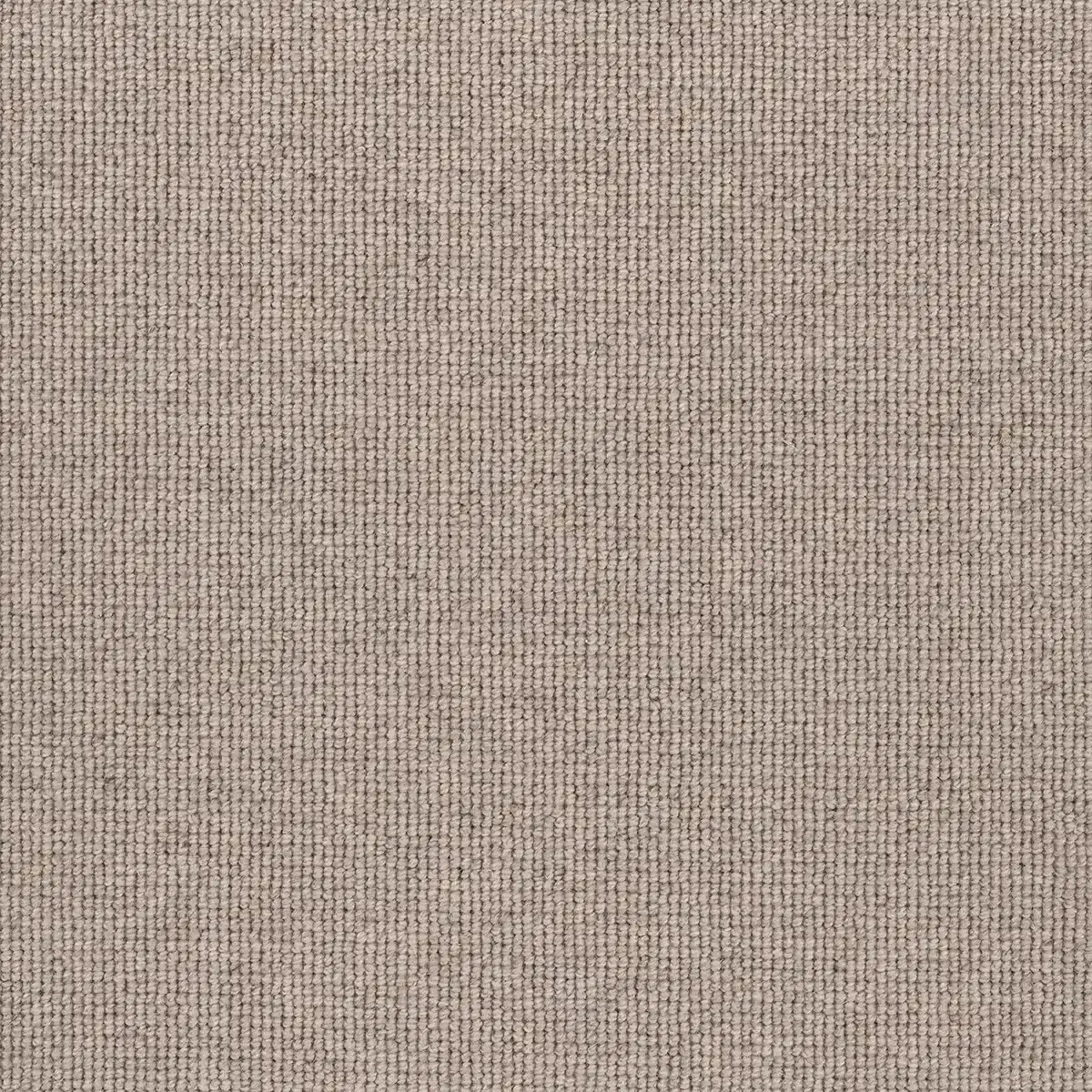 Hause carpet flooring sample