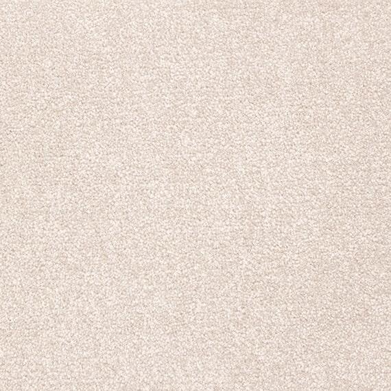 Mink carpet flooring sample