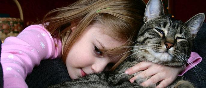 A child sharing a quiet moment with a much-loved cat