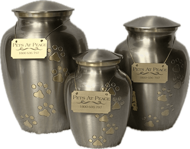 Pewter pet urn with gold paw prints